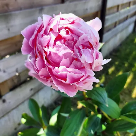 Le Charm'en Vakantiehuis