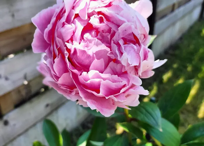 Le Charm'en Vakantiehuis